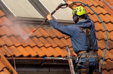 Démoussage et hydrofuge de toiture à Sainte-Lheurine